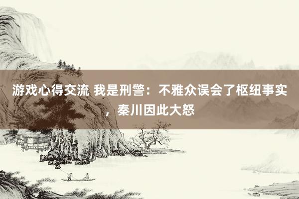 游戏心得交流 我是刑警：不雅众误会了枢纽事实，秦川因此大怒