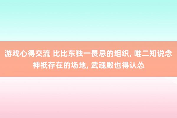 游戏心得交流 比比东独一畏忌的组织, 唯二知说念神祇存在的场地, 武魂殿也得认怂