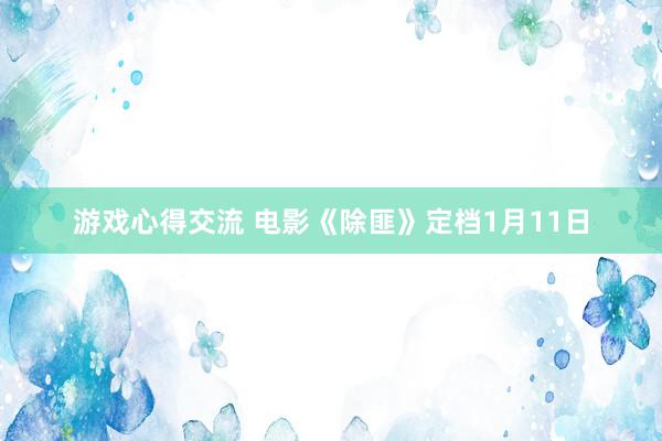 游戏心得交流 电影《除匪》定档1月11日